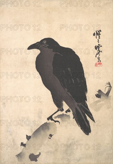Crow Resting on Wood Trunk, mid-late 19th century. Creator: Kawanabe Kyosai.