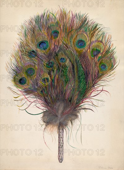 Peacock Feather Fan, c. 1938. Creator: Edna C. Rex.