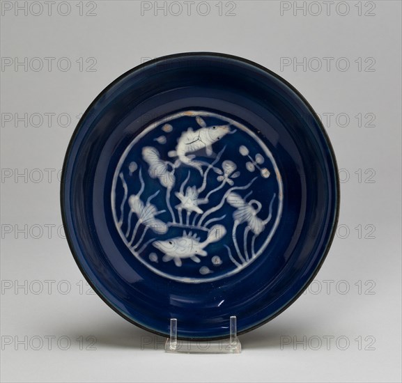 Dish with Fish Swimming in Lotus Pond, Ming dynasty (1368-1644), Wanli reign mark and period (1573-1620).