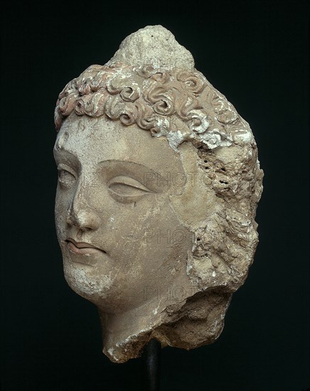 Head of a Bodhisattva, 4th/6th century. Ancient region of Gandhara (modern Afghanistan or Pakistan).