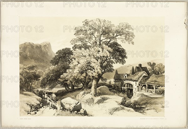 Ash and Oak, from The Park and the Forest, 1841.