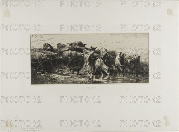 Cows Drinking, 1866.