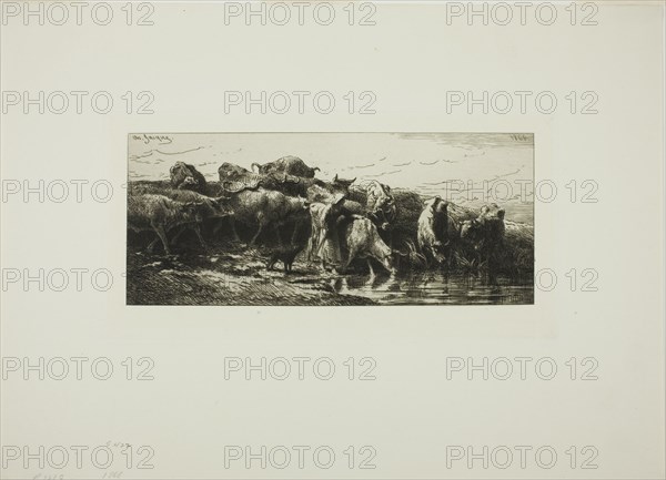 Cows Drinking from the River, 1878.