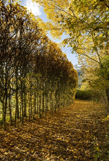 North Orbital Road, Broadwater Park, Denham, Buckinghamshire, 2018. Creator: Chris Redgrave.