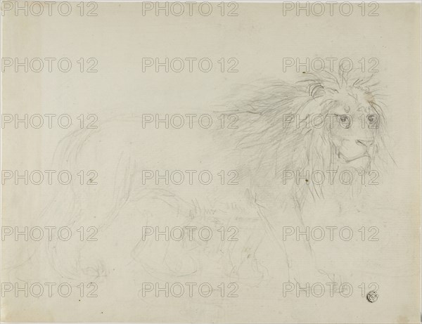 Lion, n.d. Creator: Sawrey Gilpin.