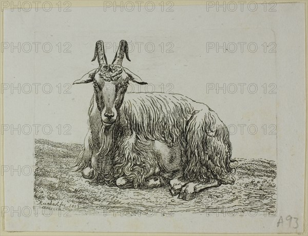 Lying Goat, from Die Zweite Thierfolge, 1800. Creator: Johann Christian Reinhart.