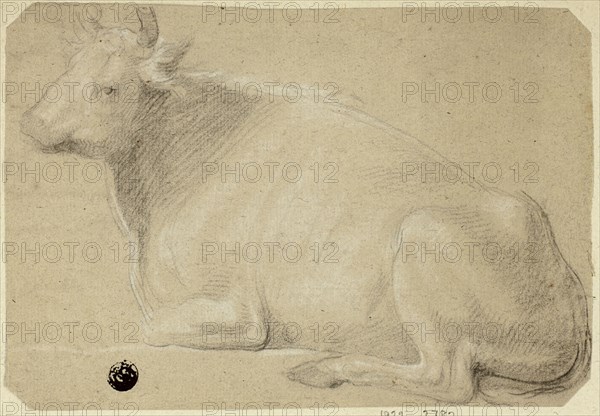 Cow Lying on Haunches, n.d. Creator: Unknown.