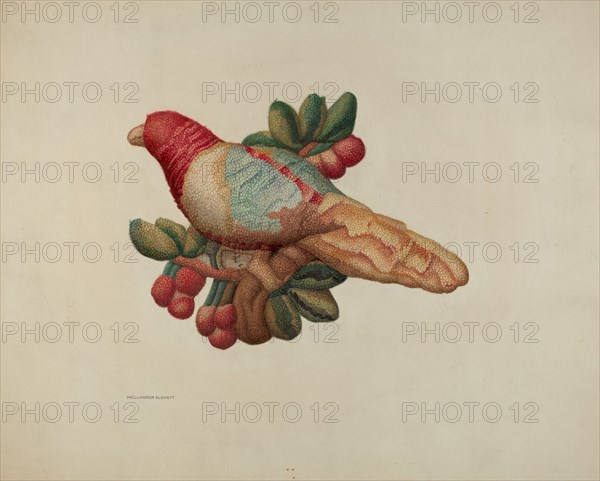 Woolen Parrot, 1940. Creator: Wellington Blewett.