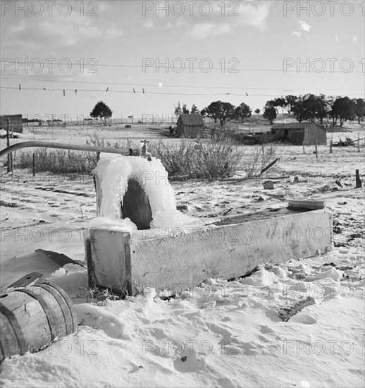 Short growing season, Utah, 1936. Creator: Dorothea Lange.