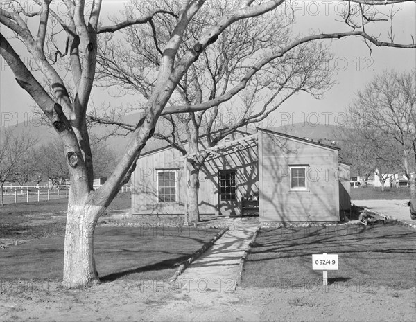 El Monte federal subsistence homesteads, California, 1936. Creator: Dorothea Lange.