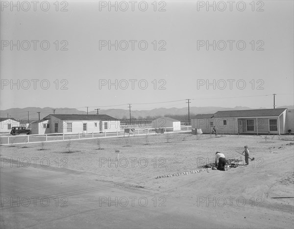 San Fernando federal subsistence homesteads, California, 1936. Creator: Dorothea Lange.