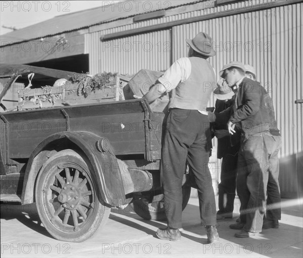 Self-help cooperative, Burbank, California, 1936. Creator: Dorothea Lange.