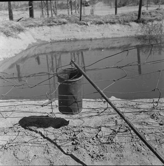 Water supply, California squatter camp near Calipatria, California, 1937. Creator: Dorothea Lange.