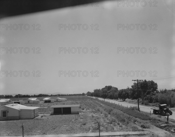 View of Resettlement Administration's part-time farms, Glendale, Arizona, 1937. Creator: Dorothea Lange.