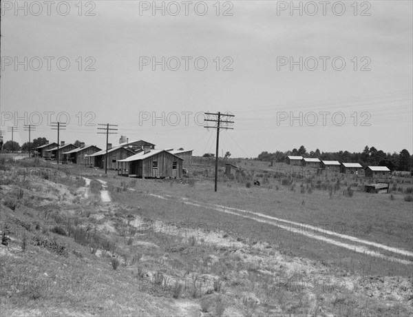 Turpentine camp, Godwinsville, Georgia, 1937. Creator: Dorothea Lange.