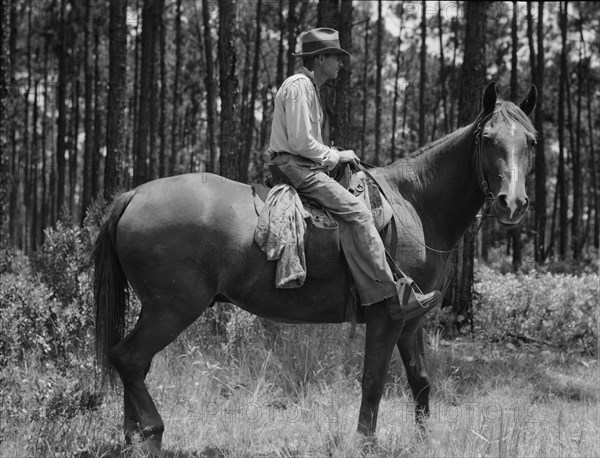 Overseer in the turpentine woods, Georgia, 1937. Creator: Dorothea Lange.