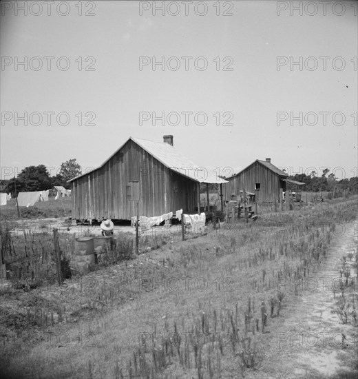 Home of turpentine workers near Godwinsville, Georgia, 1937. Creator: Dorothea Lange.