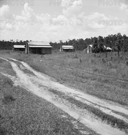 Turpentine worker's cabins, Valdosta, Georgia, 1937. Creator: Dorothea Lange.