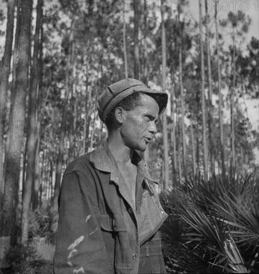 Turpentine "chipper" near Homerville, Georgia, 1937. Creator: Dorothea Lange.