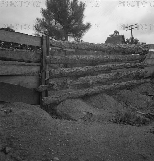 Eroding field and fence, Greene County, Georgia, 1937. Creator: Dorothea Lange.