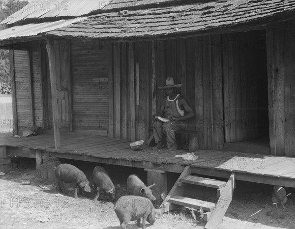 Turpentine worker's home, Georgia, 1937. Creator: Dorothea Lange.