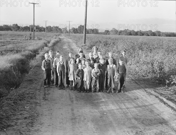 Ten families established by the FSA on the... Tulare County, CA, 1938. Creator: Dorothea Lange.