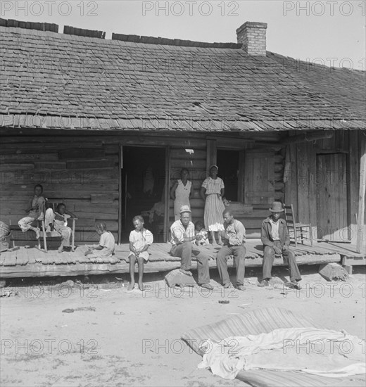 Tobacco farms, like Southern cotton farms, carry a heavy surplus..., near Tifton, Georgia, 1938. Creator: Dorothea Lange.