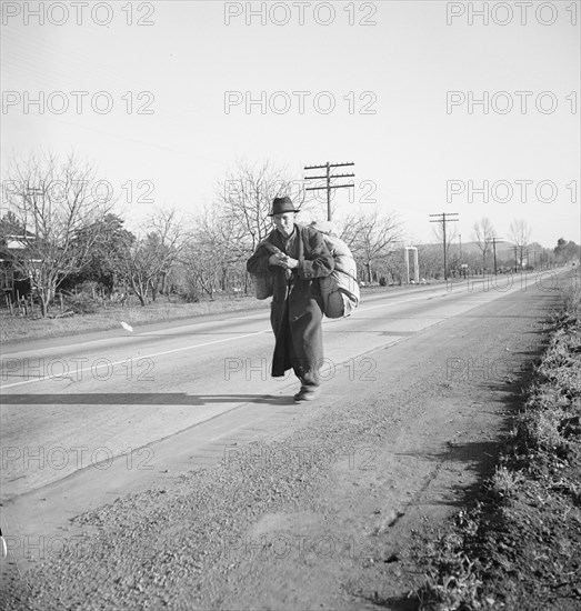 More than twenty-five years a bindle-stiff..., Napa Valley, California, 1938. Creator: Dorothea Lange.