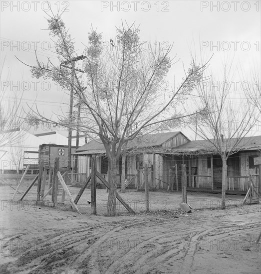 Houses inhabited by Mexican citrus workers, Lindsay, Tulare County, California , 1939. Creator: Dorothea Lange.