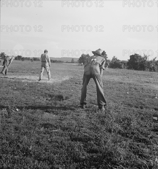 Farmers' baseball game in the country..., near Mountain Home, northern Arkansas, 1938. Creator: Dorothea Lange.