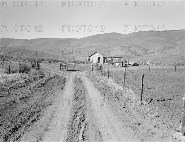 A new house for descendant of old Idaho...Ola self-help sawmill co-op, Gem County, Idaho, 1939. Creator: Dorothea Lange.