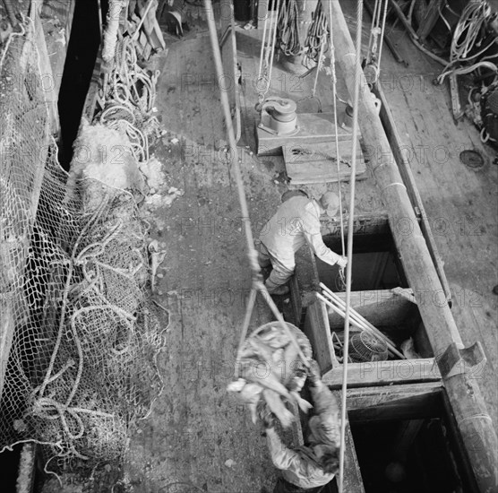 Dock stevedores at the Fulton fish market sending up baskets of fish..., New York, 1943. Creator: Gordon Parks.