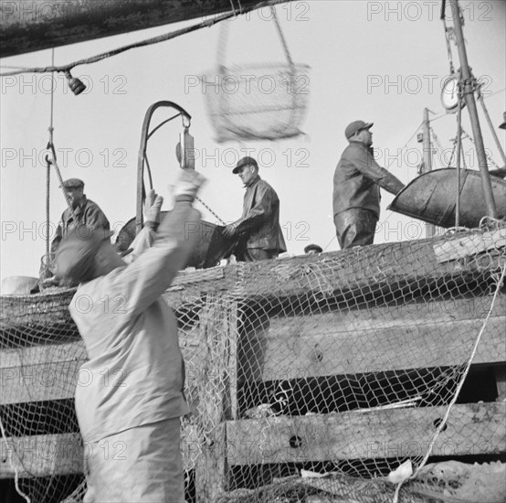 Dock stevedores at the Fulton fish market sending up baskets of fish..., New York, 1943. Creator: Gordon Parks.