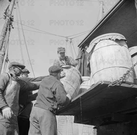 Dock worker at the Fulton fish market loading fish that have been caught..., New York, 1943. Creator: Gordon Parks.