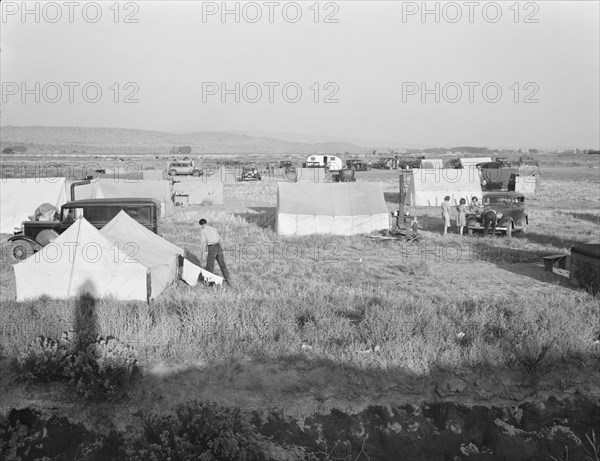 Families camped on flat before season opens..., near Merrill, Klamath County, Oregon, 1939 Creator: Dorothea Lange.