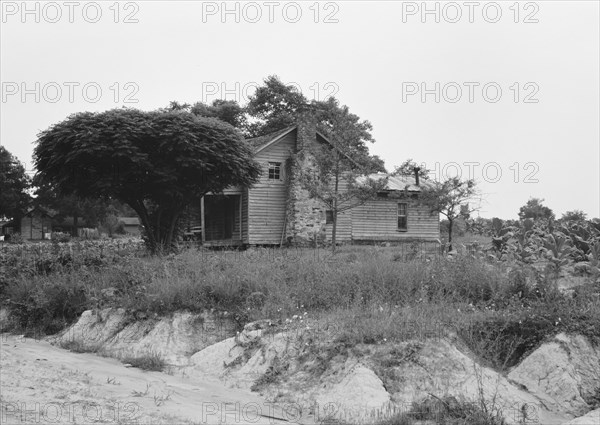 Story-and-a-half weatherboard house, Person County, North Carolina, 1939. Creator: Dorothea Lange.