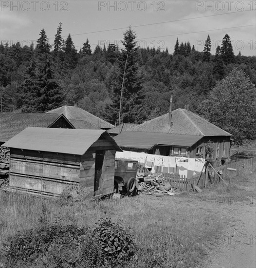 Company houses of closed mill..., Malone, Grays Harbor County, Western Washington, 1939. Creator: Dorothea Lange.