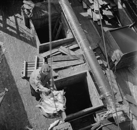 Possibly: Unloading fish from the hold of a New England fishing boat at the..., New York, 1943. Creator: Gordon Parks.