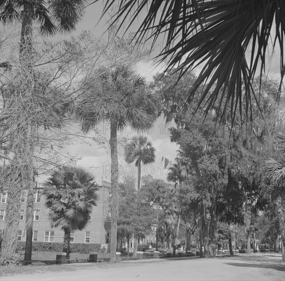 Possibly: Bethune-Cookman College, Daytona Beach, Florida, 1943. Creator: Gordon Parks.