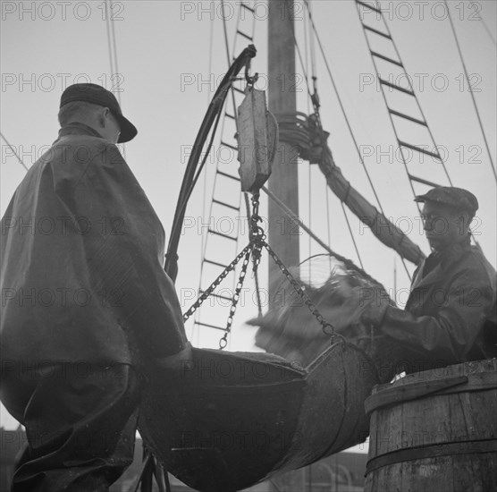 Possibly: New England fishermen unloading fish at the Fulton fish market, New York, 1943. Creator: Gordon Parks.