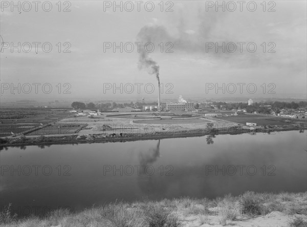 Sugar beet factory (Amalgamated Sugar Company) along..., Nyssa, Malheur County, Oregon, 1939. Creator: Dorothea Lange.