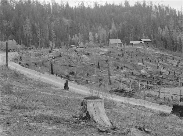 Possibly: New settlers shack at foot of hills on poor sandy soil, Boundary County, Idaho, 1939. Creator: Dorothea Lange.