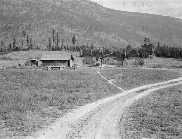 Log buildings and cleared land on FSA borrower's place, Boundary County, Idaho, 1939. Creator: Dorothea Lange.