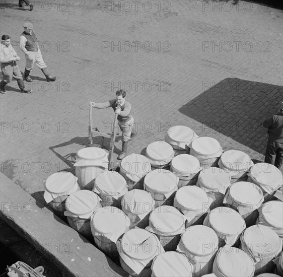 Barrels of fish on the docks at Fulton fish market ready to be shipped to retailers, New York, 1943. Creator: Gordon Parks.