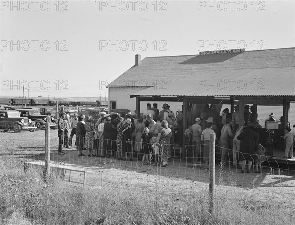 Farmers come to town on Saturday afternoon for auction sale held on back street in Nyssa, Oregon.