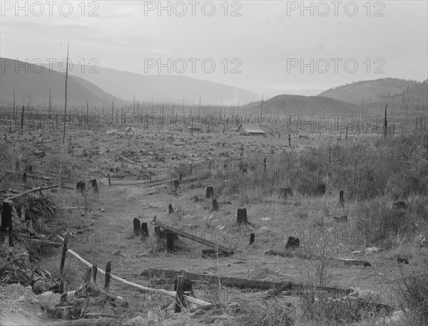 Another stump farm, fenced, showing general characteristics of the valley. Bonner County, Idaho.