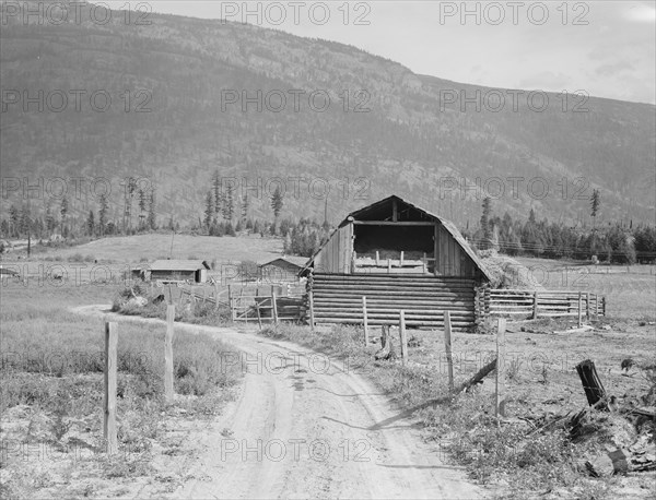 Farm of FSA (Farm Security Administration borrower). Land clearing loan. Boundary County, Idaho.