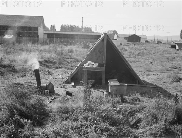 One of the forty potato camps in open field, entering town. Malin, Klamath County, Oregon.