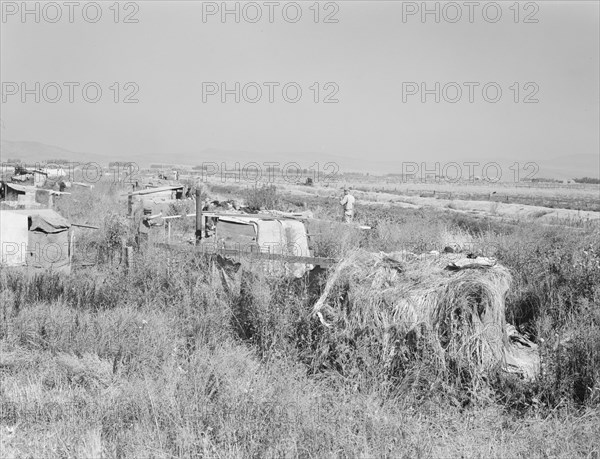 Potato pickers' camp. Tulelake. Siskiyou County, California. General caption number 63-1.