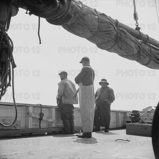 On board the fishing boat Alden out of Gloucester, Massachusetts. Fishermen on the boat.